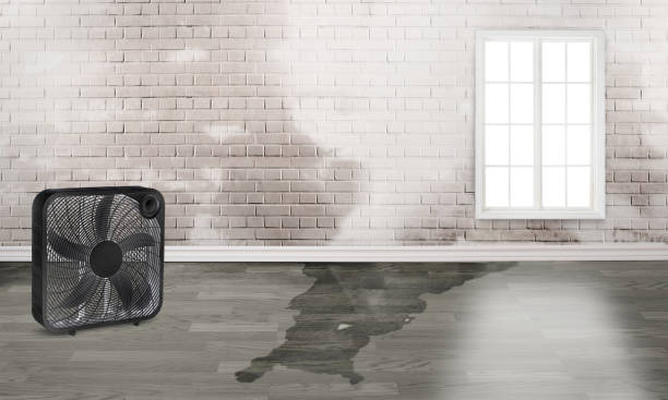 Best Water damage cleanup near me  in Fetters Hot Springs Agua Liente, CA