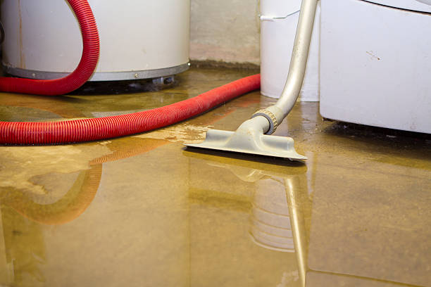 Best Mold removal after water damage  in Fetters Hot Springs Agua Liente, CA