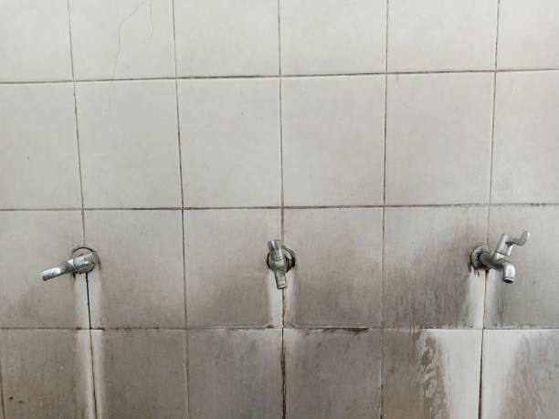 Best Ceiling water damage repair  in Fetters Hot Springs Agua Liente, CA