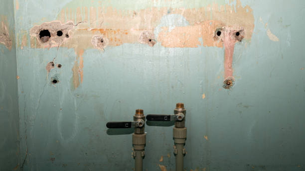 Best 24-hour water damage restoration  in Fetters Hot Springs Agua Liente, CA