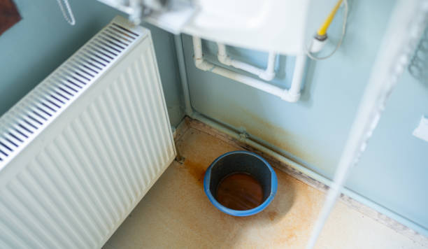 Best Local water damage restoration  in Fetters Hot Springs Agua Liente, CA