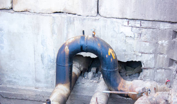 Best Professional water damage repair  in Fetters Hot Springs Agua Liente, CA