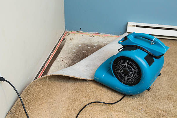 Best Water damage restoration near me  in Fetters Hot Springs Agua Liente, CA
